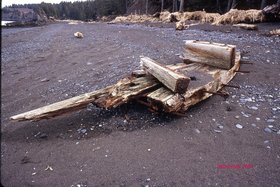Chunk of olde Schooner driftwood at Outside Beach