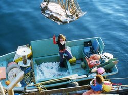 Image of Sadi Synn, fisherman
